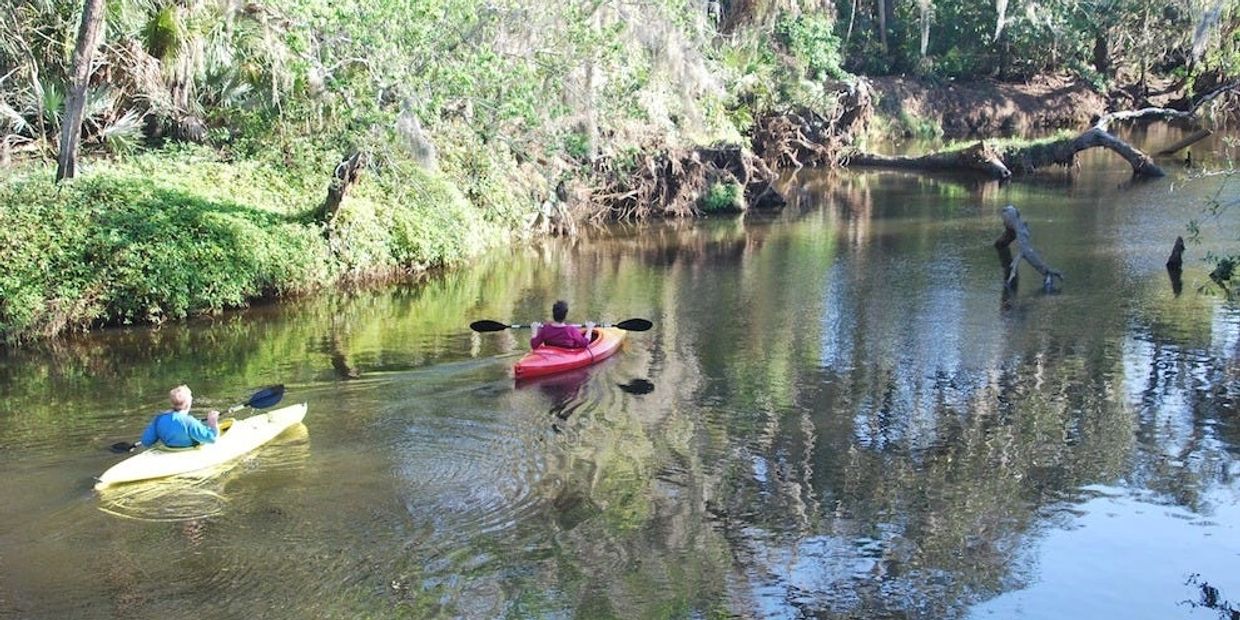 Turkey Creek Sanctuary in Palm Bay: Good kayaking & hiking