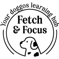 fetchfocus.com.au