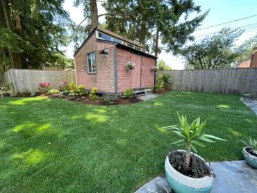 Backyard oasis 