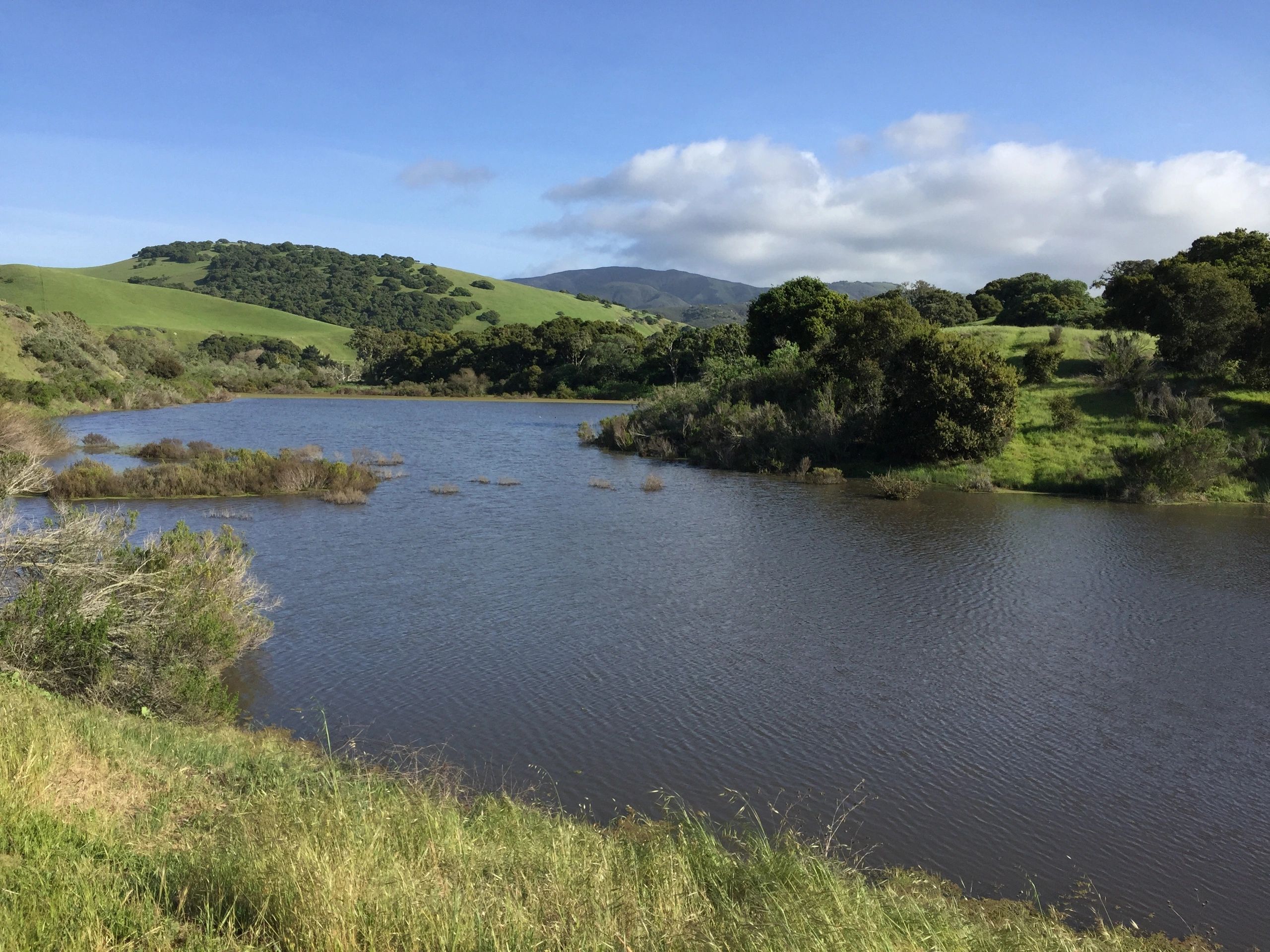 Real Estate Appraiser Brigantino & Company