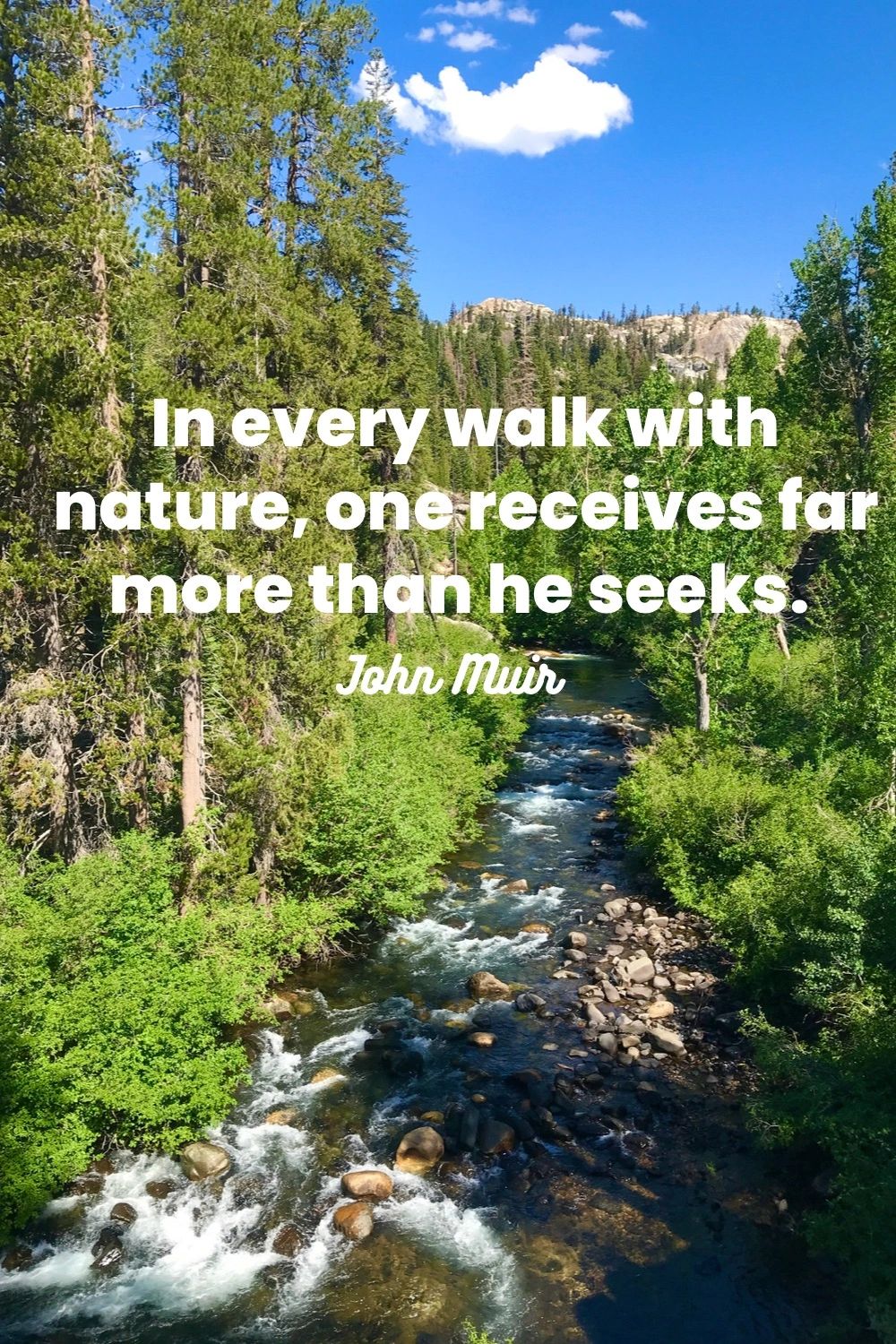 Ten Best Nature Quotes