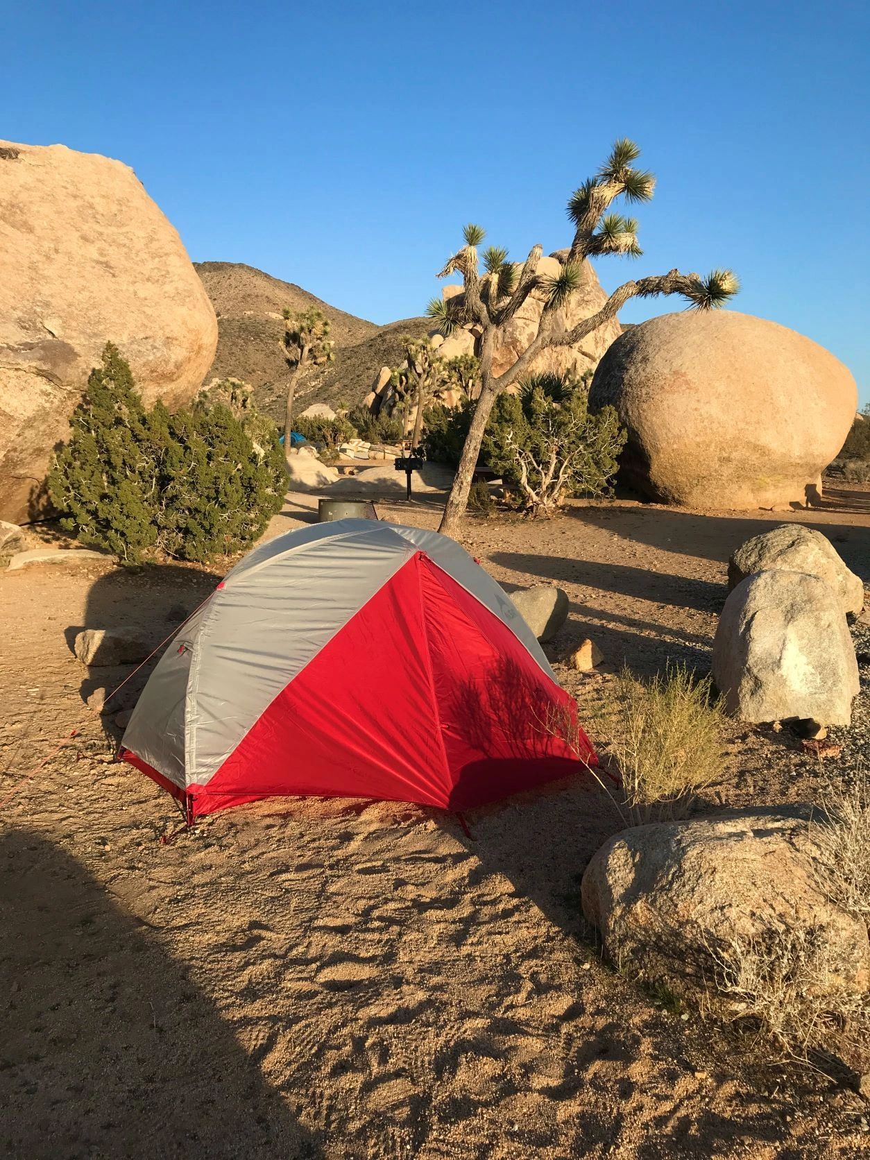 Gear Review: MSR Elixir 1 Backpacking Tent