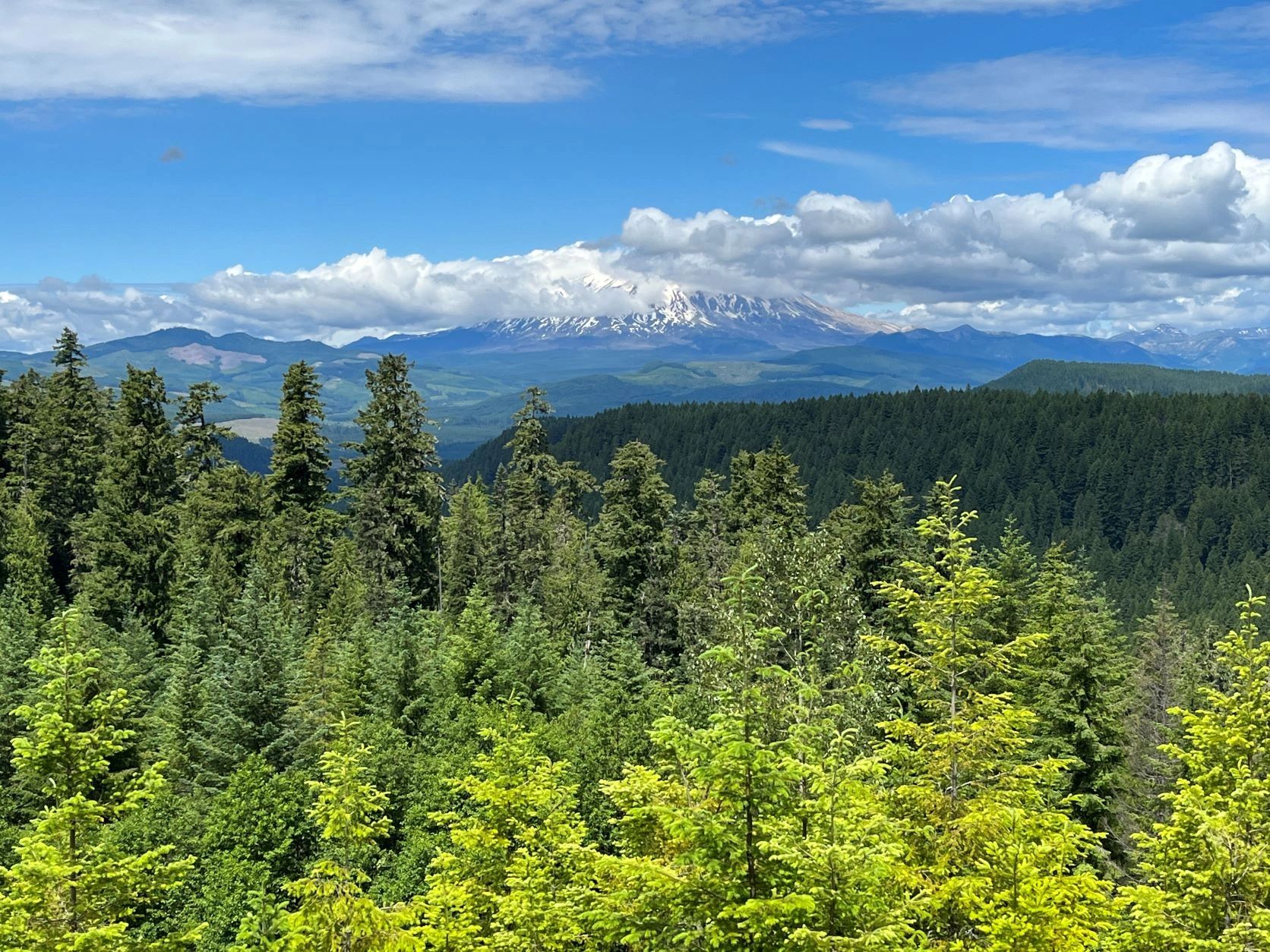 Travel guide to Washington's Mount Rainier National Park and Mount St.  Helens National Volcanic Monument