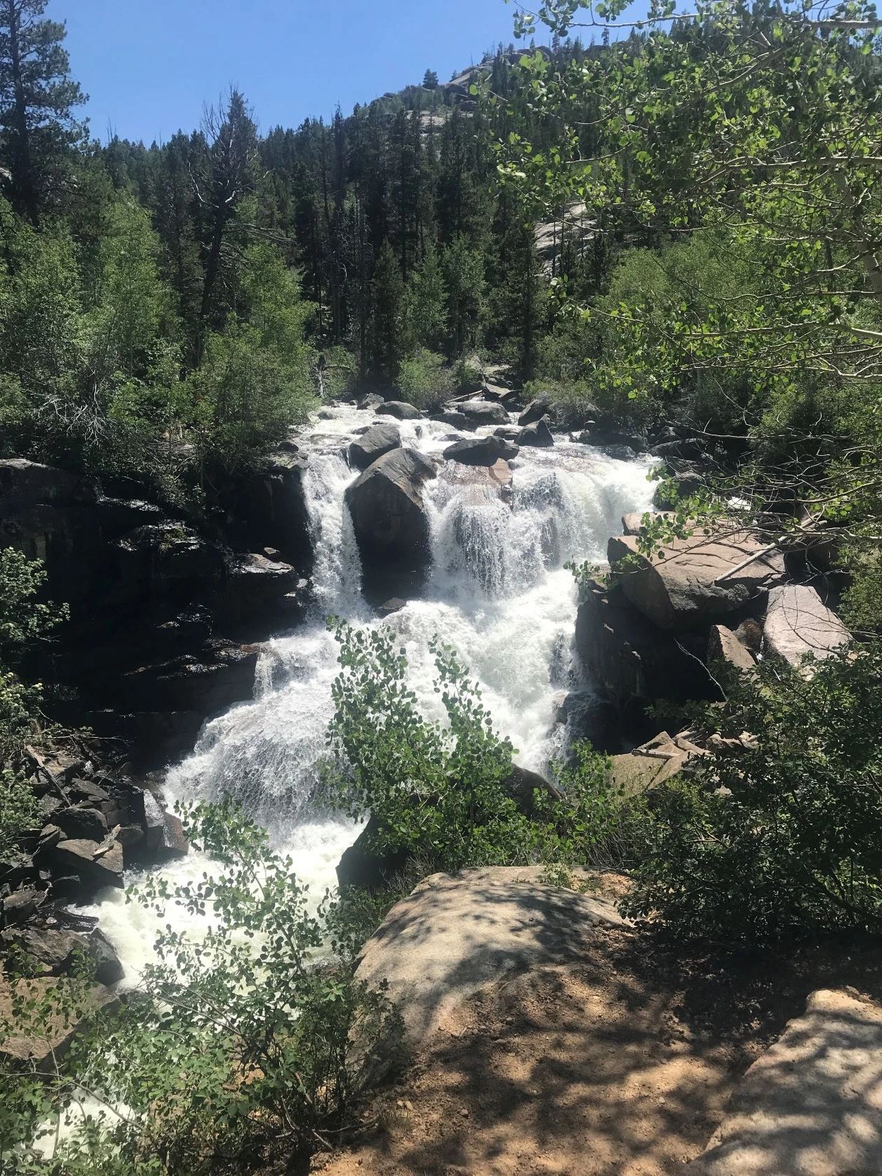 Road Trip! Ansel Watrous Campground, Sinks Canyon State Park