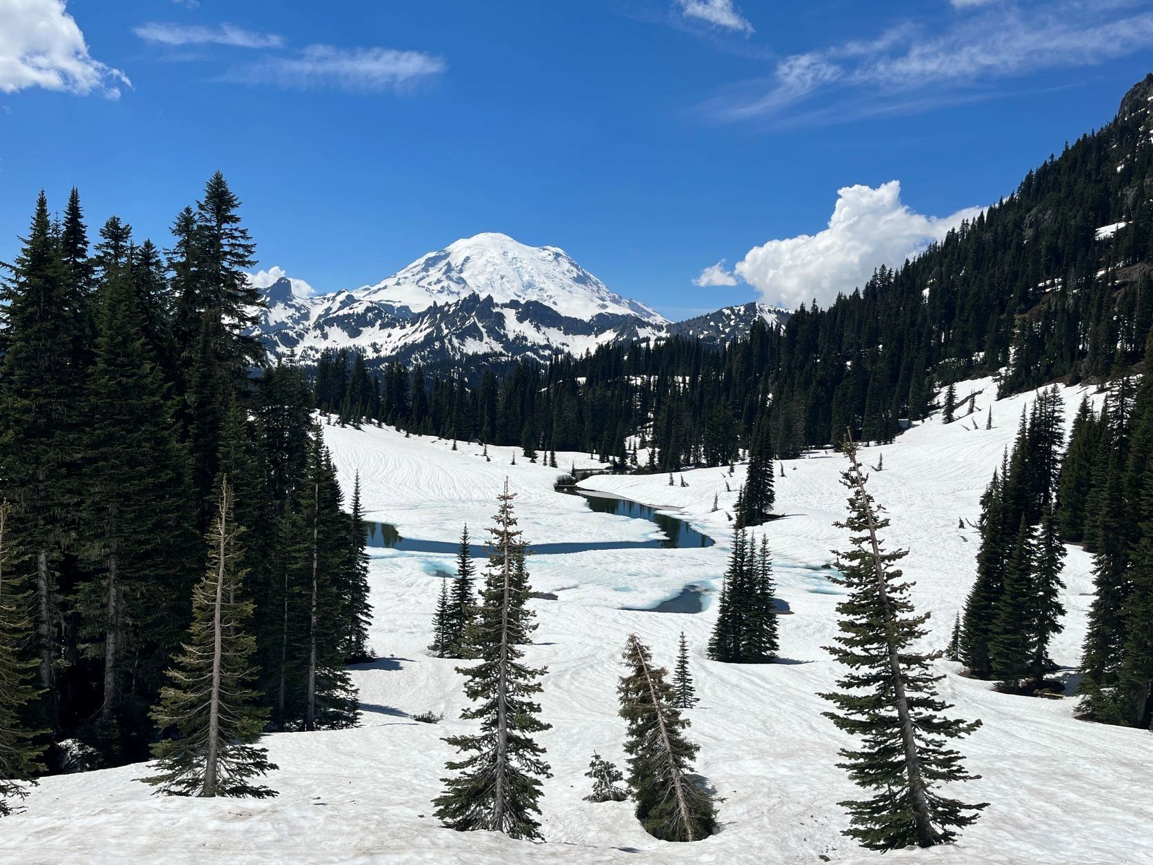 A Day Trip to Mount Rainier National Park - Stories My Suitcase Could Tell
