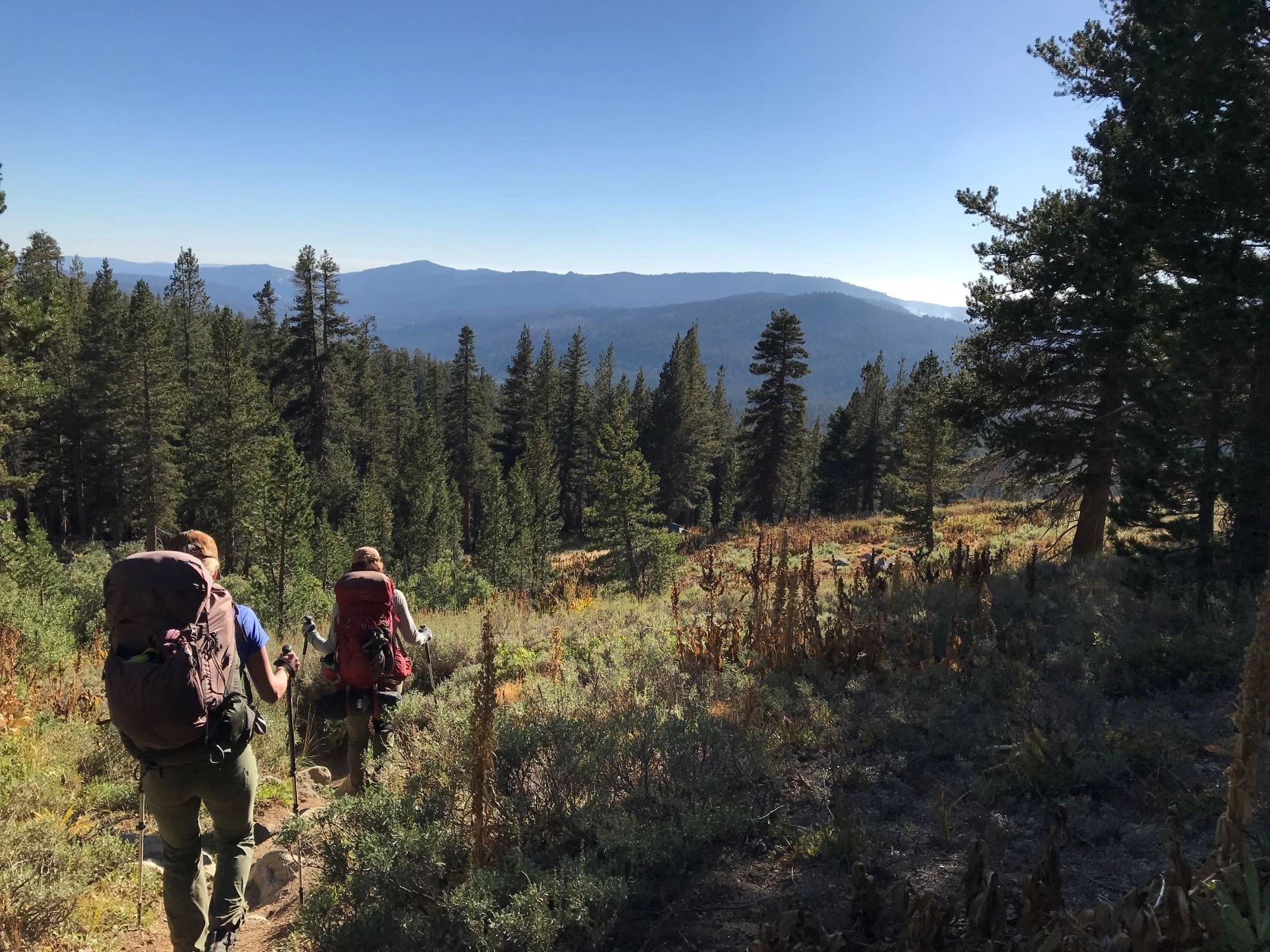 Backpacking and fly fishing Ten Lakes Trail in Yosemite 