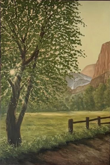 Sunlight filtering through a leafy tree in a meadow near mountains.