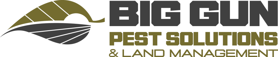 BIG GUN PEST SOLUTIONS 