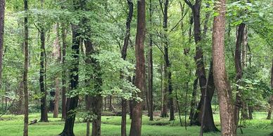 Ordainment Rs=w:388,h:194,cg:true,m