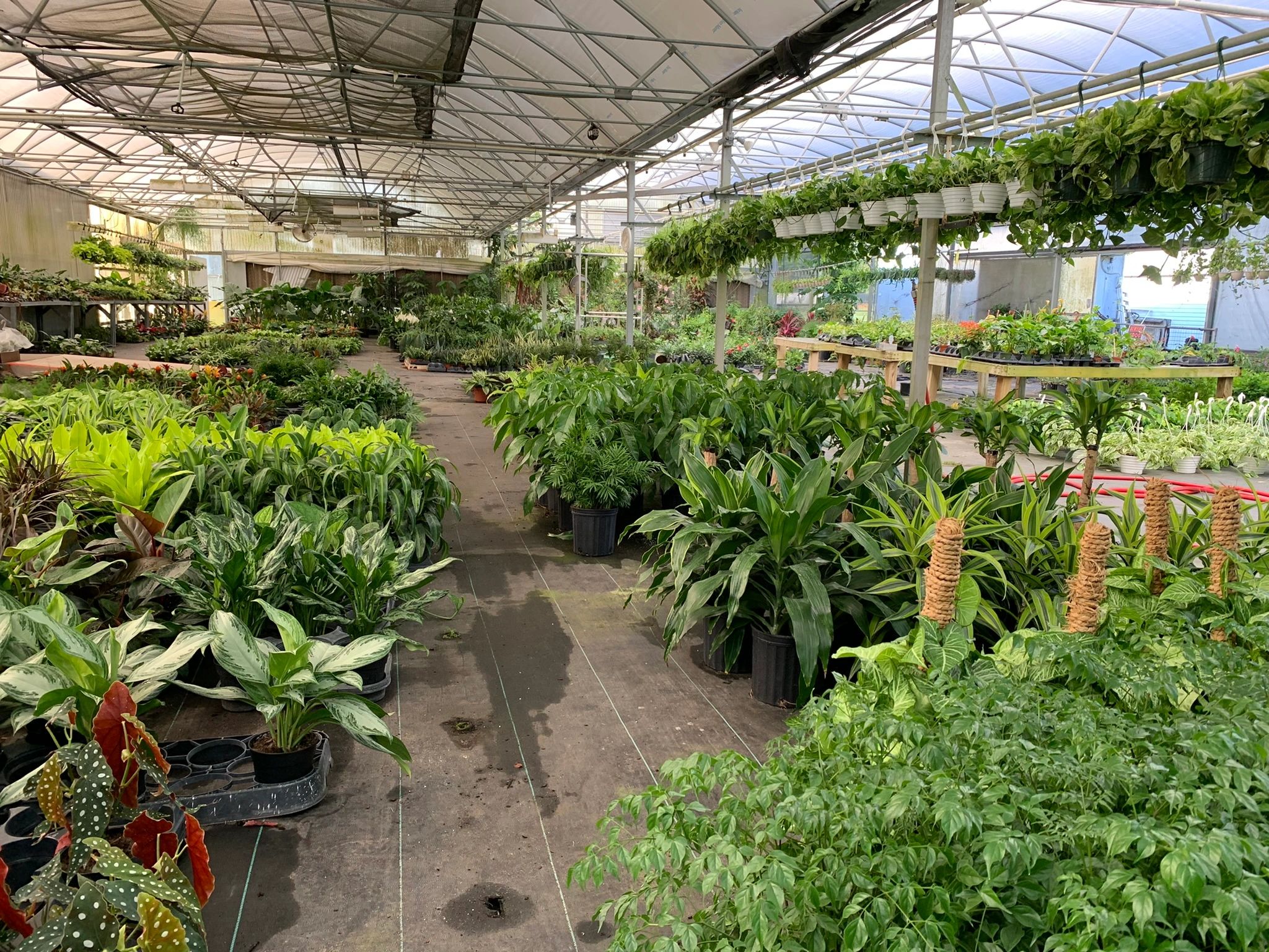 Plantsrus