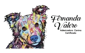 Logo de Educación Canina, Adiestramiento