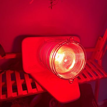 Red light illuminating a wire mesh container on a wooden bench.