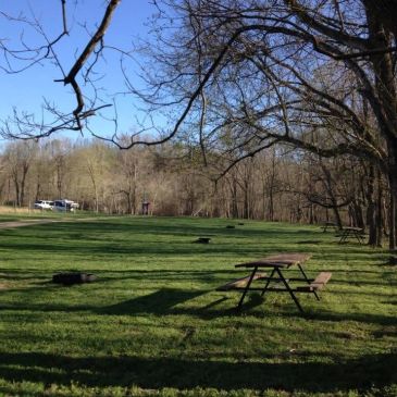 Sunny park with picnic tables and trees casting shadows.