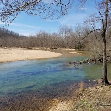 A clear river flows through a leafless forest on a sunny day.