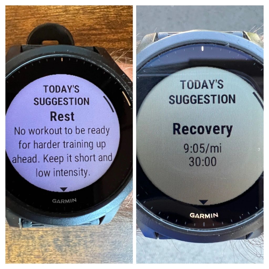 Garmin showing Rest and Recovery