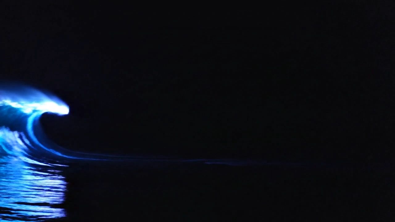 https://img1.wsimg.com/isteam/ip/5bf02491-5a15-4dab-a663-ebc4d2787190/thumbnails/thumbnail-7aa9638b-df57-498c-91c0-70710b76ba74.png