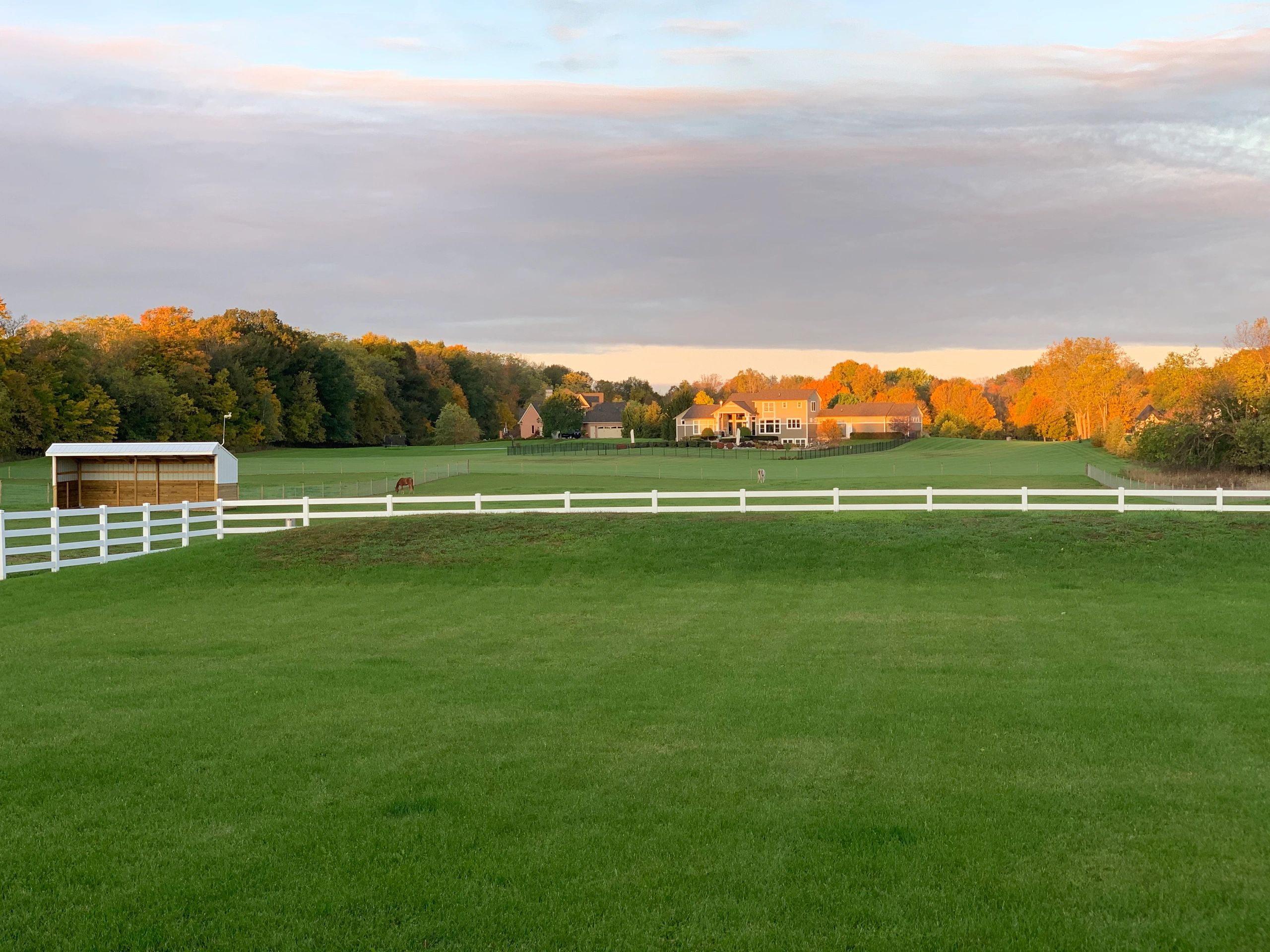 Crooked Tree Stables