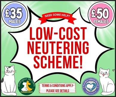 Advertisement for low-cost cat neutering for males and females with prices.
