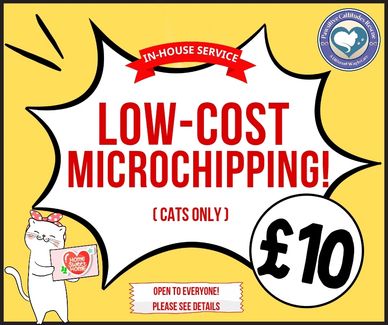 Low-cost microchipping for cats at £10 with in-house service.