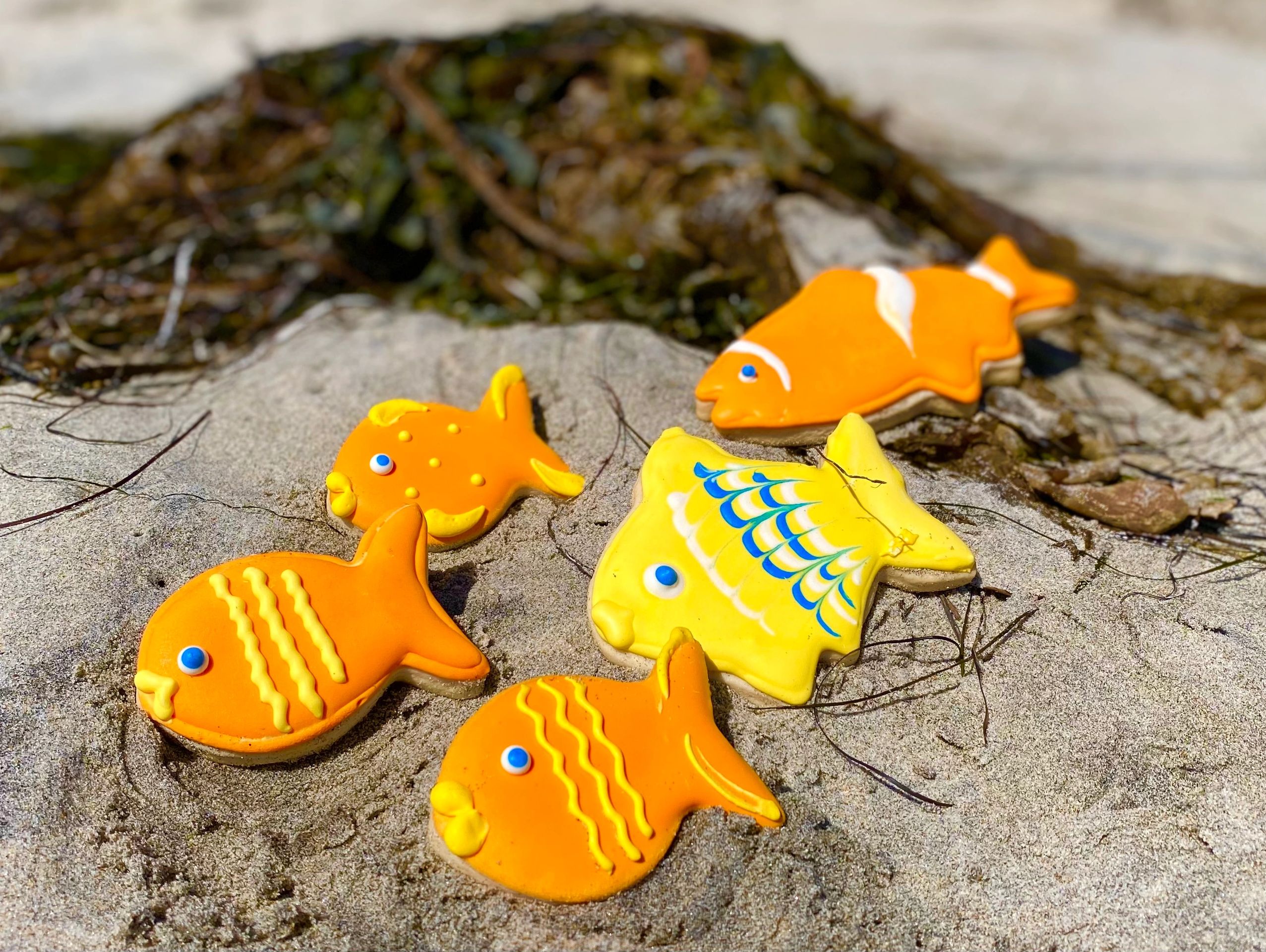 Edible Custom designed Cookies happy fishes in orange and yellow with declarative accents