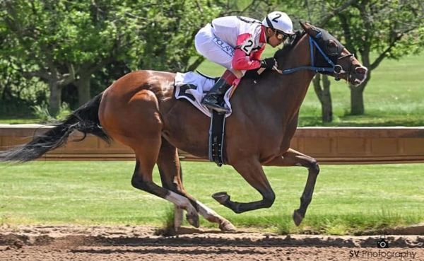 A jockey races on a brown horse during a horse race.