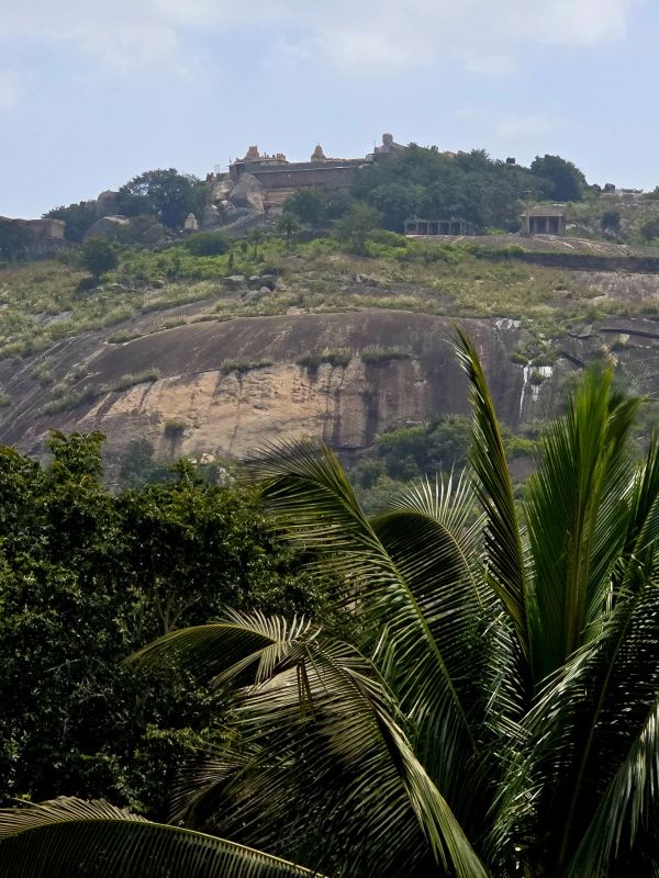 Ancient fort atop a rocky hill surrounded by lush greenery and palm trees.
