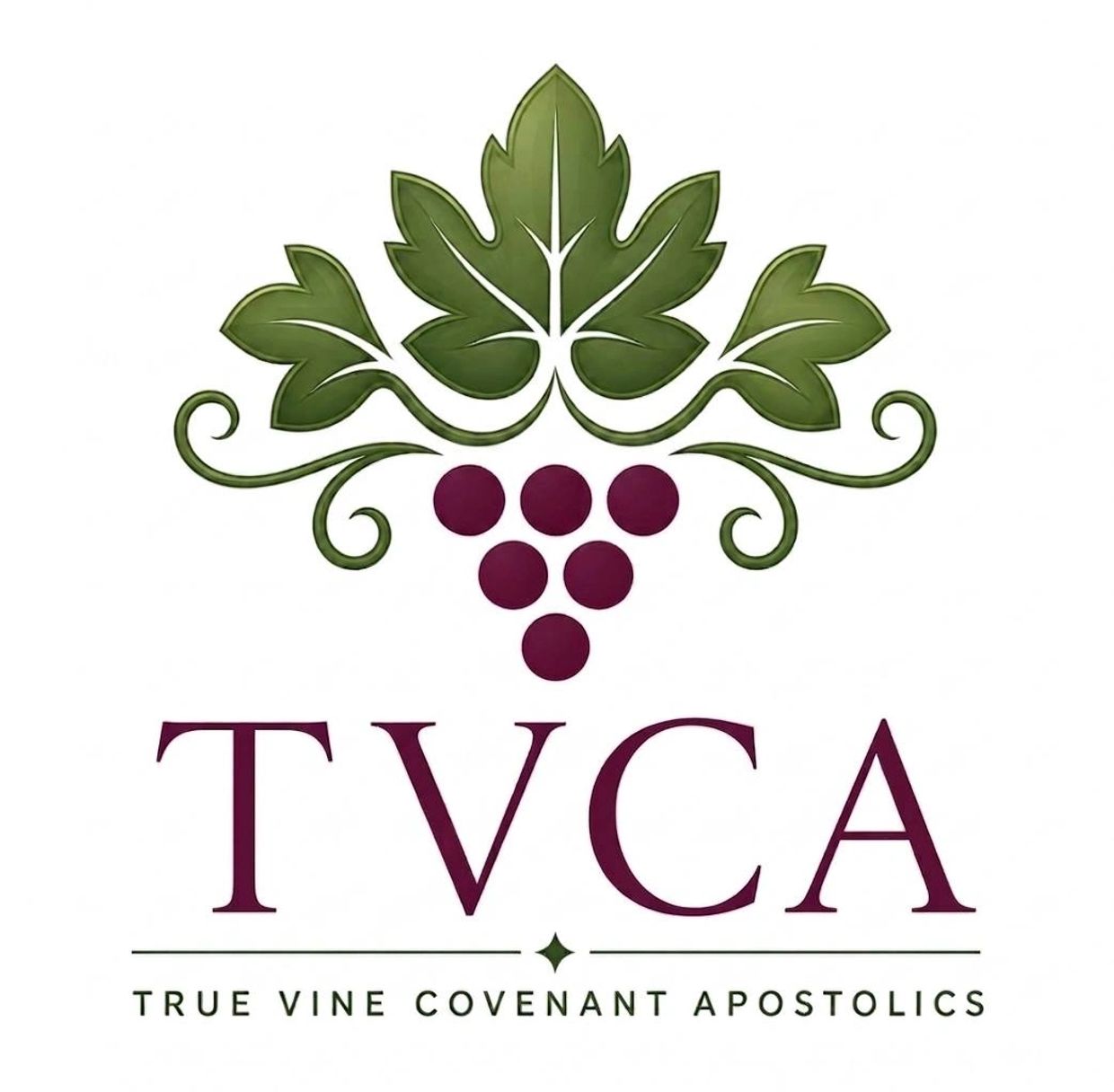 Logo with green vine leaves and purple grapes for TVCA.