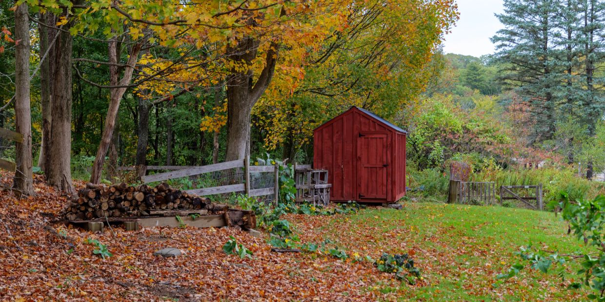 A red wooden shed stands in a leafy backyard during autumn.