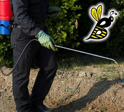 Person spraying pesticide outdoors to control pests.