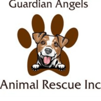 GUARDIAN ANGELS ANIMAL RESCUE INCORPORATED