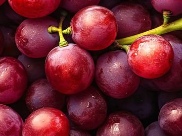 Close-up of fresh red grapes with water droplets.