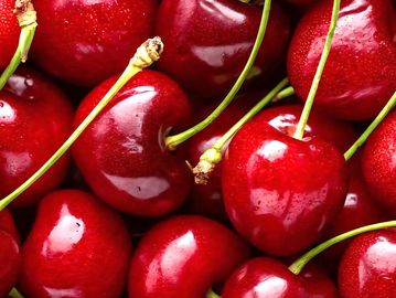 Close-up of fresh, shiny red cherries with stems.