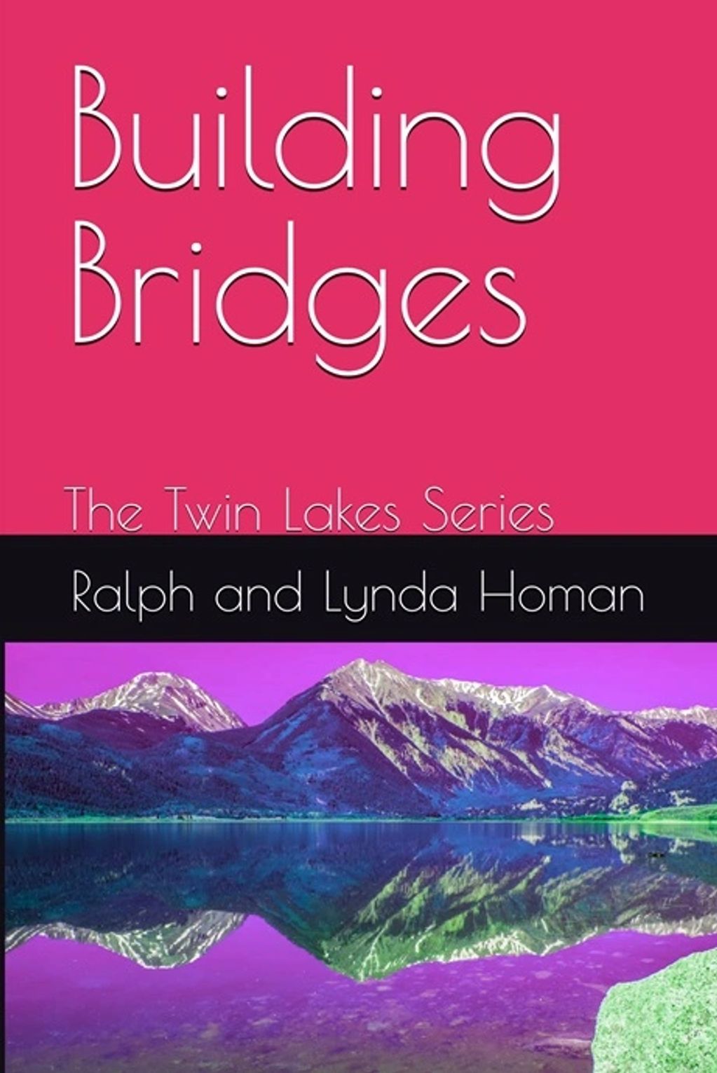 Cover of the book Building Bridges