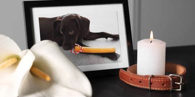 Memorial setup with a framed photo of a dog, a lit candle, and a leather collar.