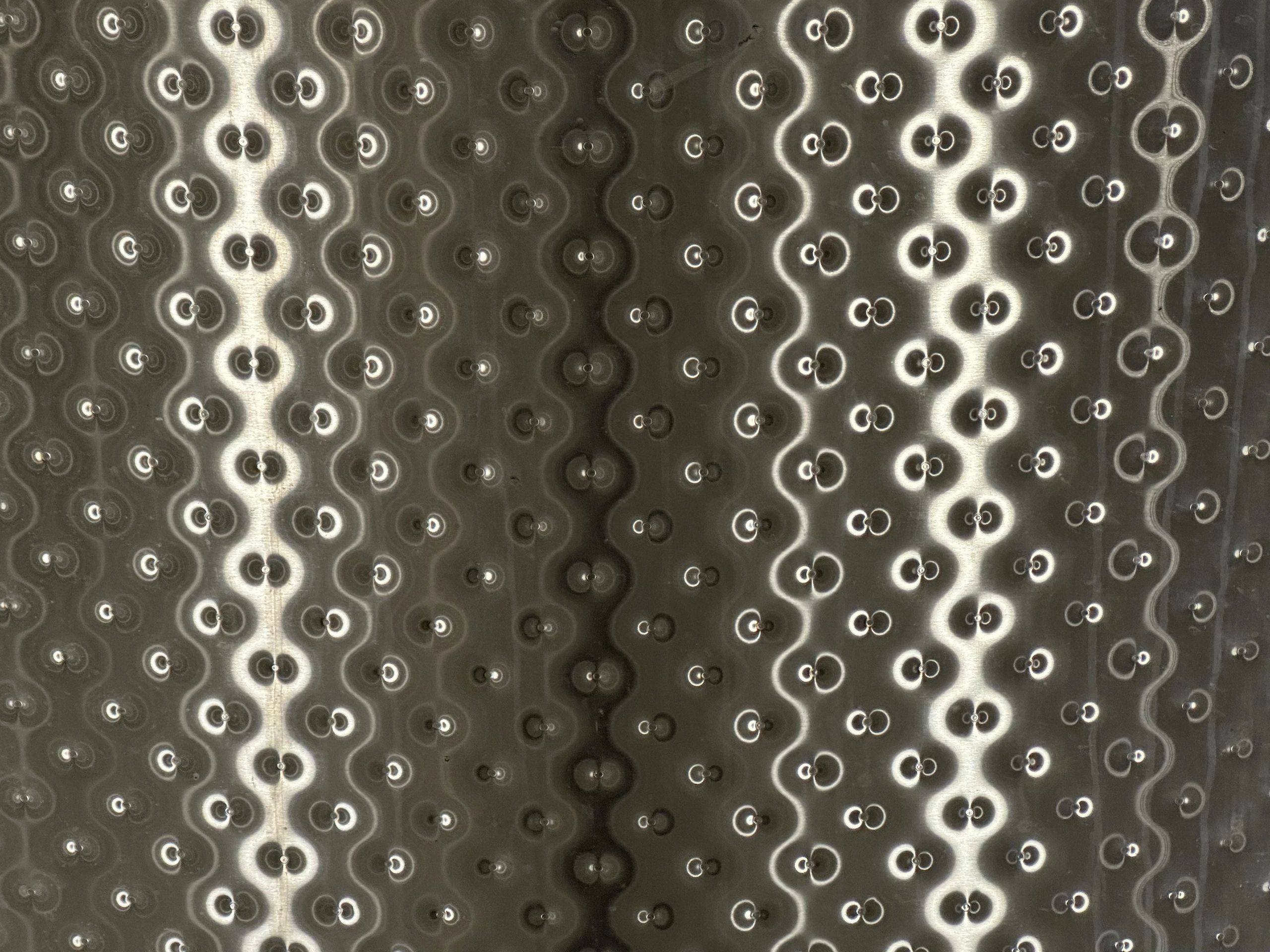 Fermented Vision hero image