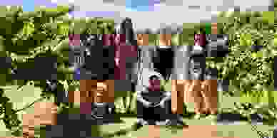 Swan Valley Wine Touring onboard The Avocado bus in Perth