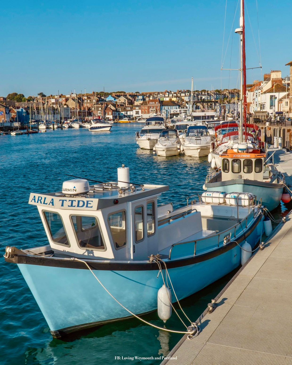 Boats docked at a marina with houses in the background.