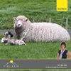 Cindy Shine - With over 29 years in real estate, I’m dedicated to guiding you through buying, sellin