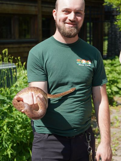 Man smiling and holding a snake outdoors in a green zoo shirt.