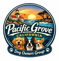 Pacific Grove Dog