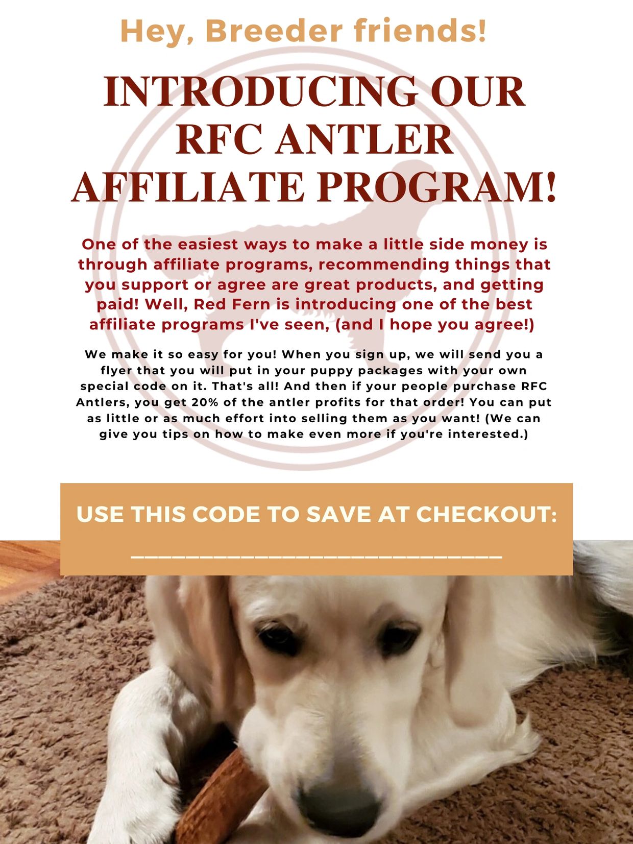 RFC antler affiliate program