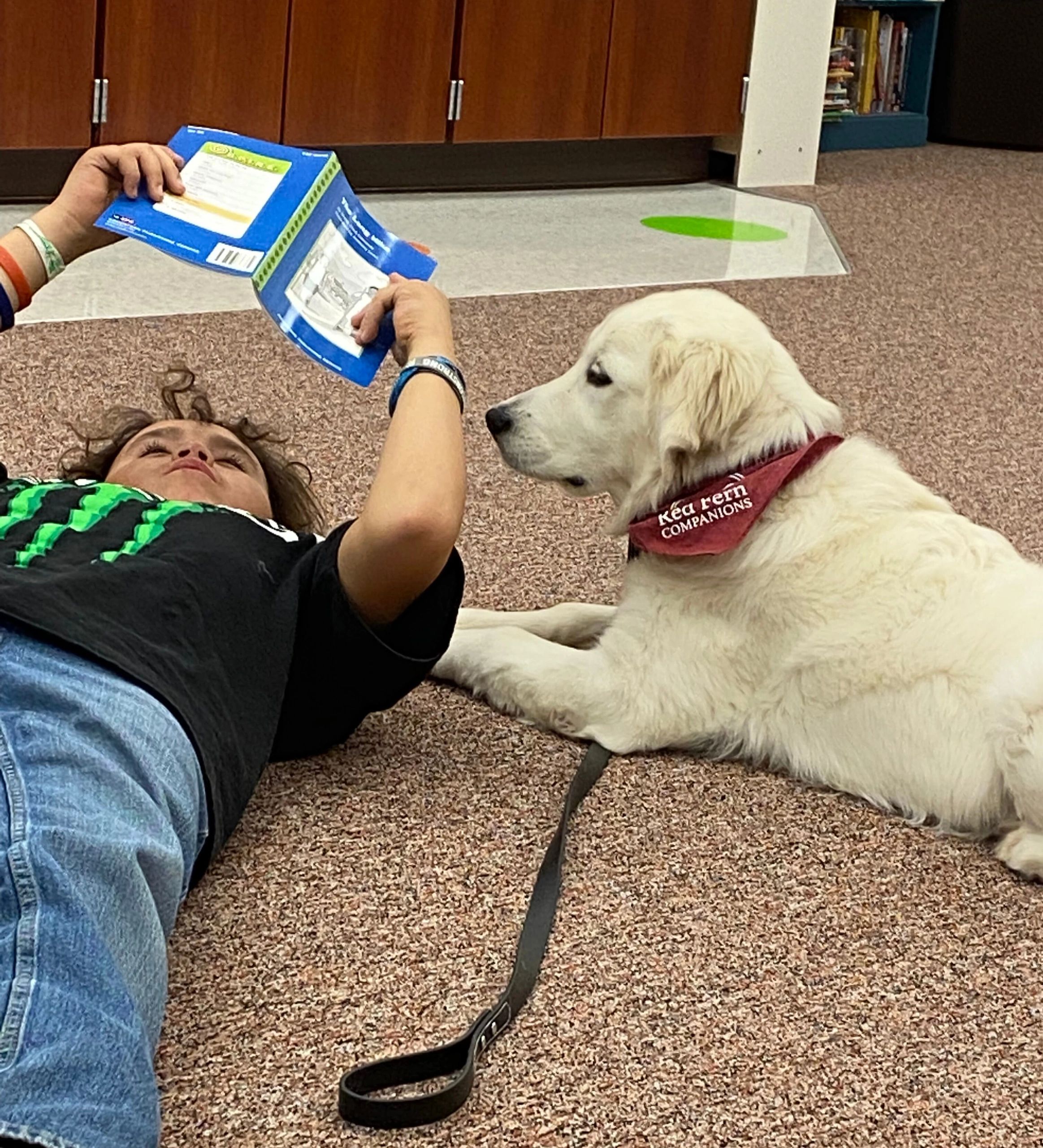 How Therapy Puppies Help Kids Cope with Exam Stress
