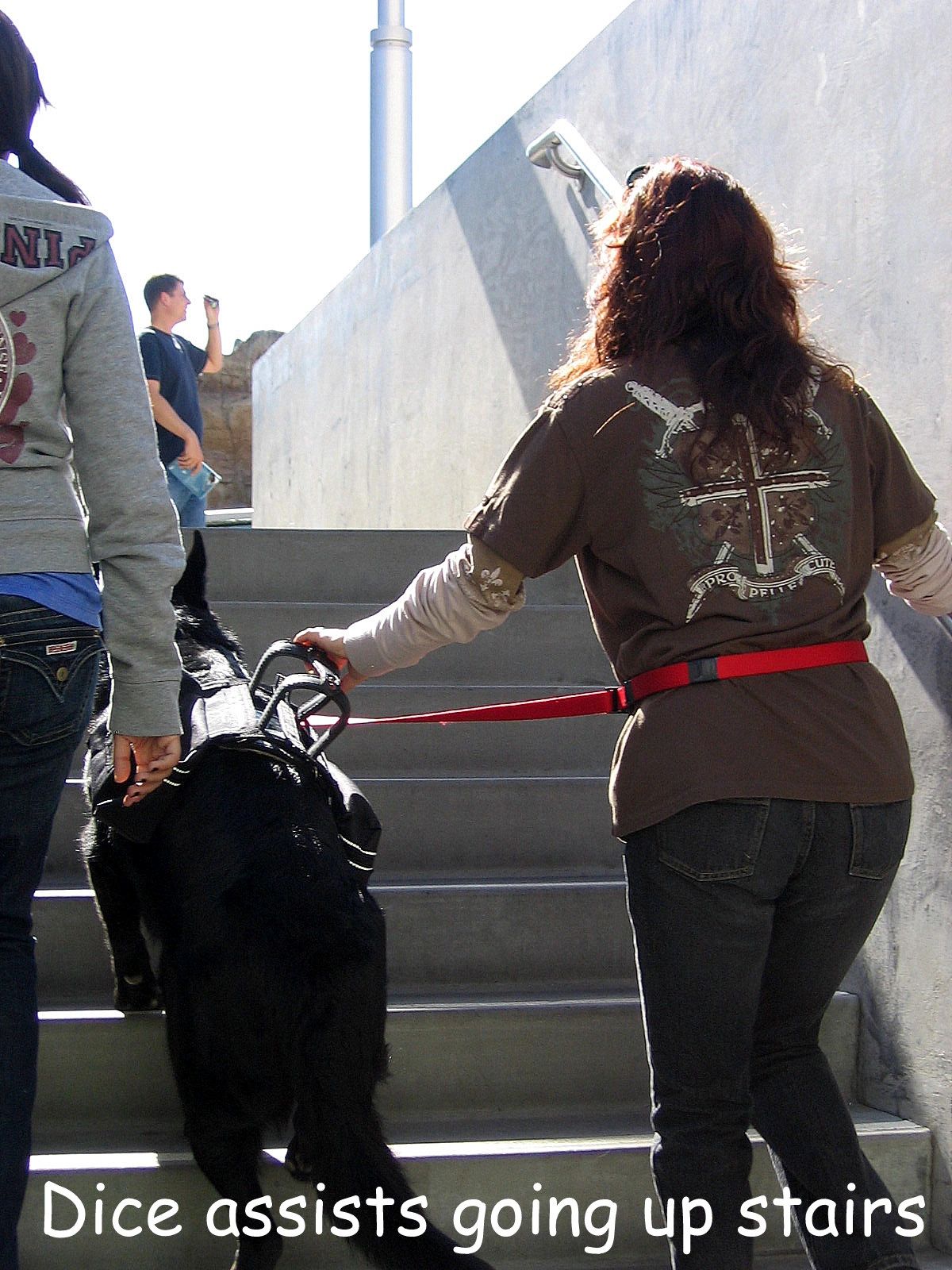 Dice steadies his owner up stairs