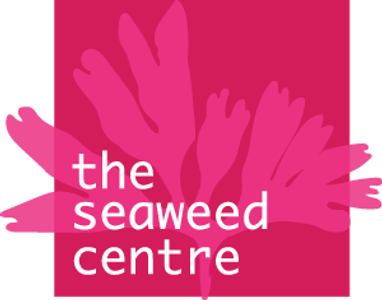 Logo of The Seaweed Centre with pink seaweed illustration.