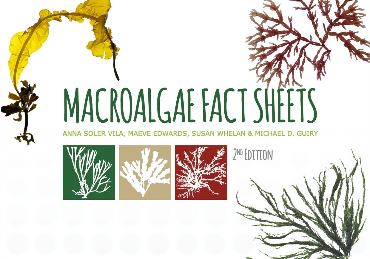 Cover of a book titled Macroalgae Fact Sheets, 2nd Edition.