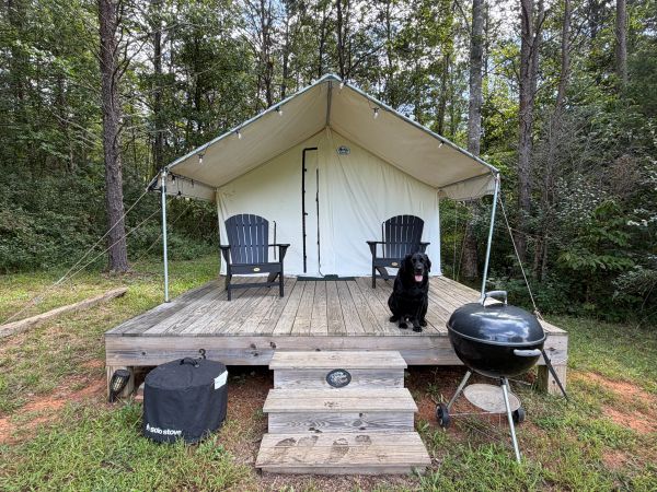 Glamping tent with chairs, a dog, and a grill in a forest setting.