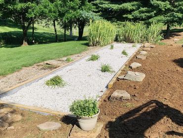 Wetland Repair