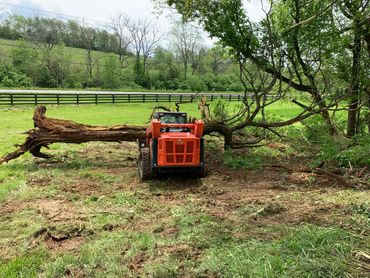 Land Clearing