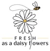 Fresh as a daisy flowers