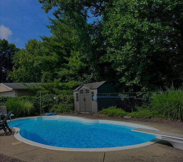 A backyard pool surrounded by trees and a small shed.